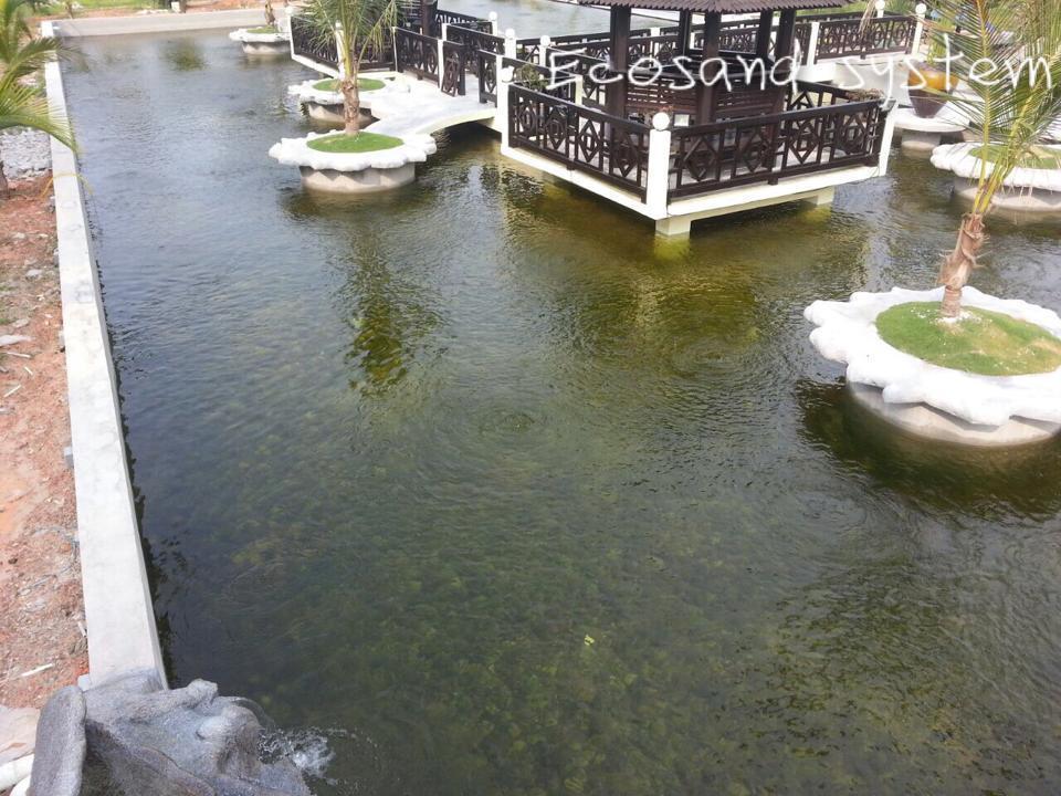 10341687 884528261566028 1439007861941636756 n