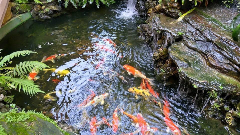 12247183 1094601773886421 5713973501515826973 n