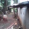 Sejasa.com