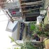 Sejasa.com