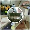 Sejasa.com