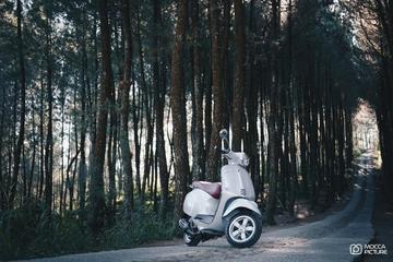 #littlemaninyourbigday #wedding #bridetobe #bride #magelang #magelangwedding #magelangweddingvendor #prewedding #magelanghits #exploremagelang #bandungweddingphotographer #traditionalwedding #palembangwedding #pernikahantraditional #weddingjogja #weddingphotographer #weddingsurabaya #weddingbali #weddingsemarang #weddingbandung #weddingjakarta #vendorwedding #vendorweddingphotography #photographerweddingyogyakarta #weddingku  #weddinginternational  #weddingjawa  #yogyakarta  #vsco  #moccapicture