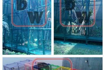 Portfolio Pengerjaan Kandang Hewan Derby Winner's Steel