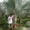 Sejasa.com
