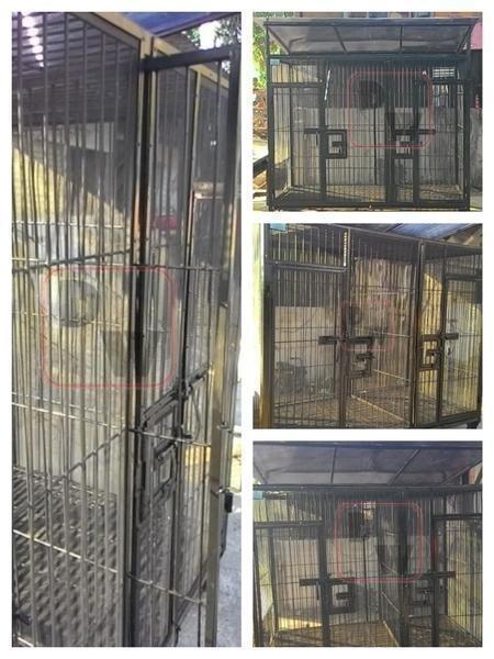 Iklan kandanggalvanis 5