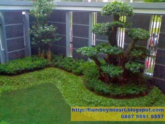 Taman rumah minimalis 5