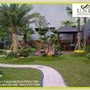Sejasa.com