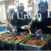 Sejasa.com