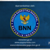 Sejasa.com
