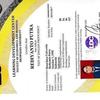 Sejasa.com