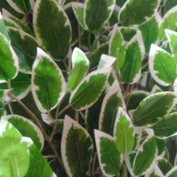 vertikal garden sintetis