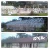 Sejasa.com