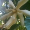 Sejasa.com