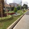 Sejasa.com
