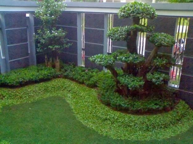 Tukang taman minimalis