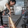 Sejasa.com