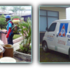 Sejasa.com