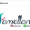 Sejasa.com