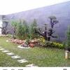 Sejasa.com