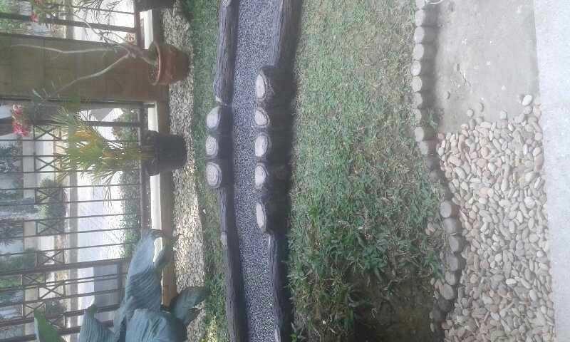 4fe004c846968a50