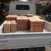 Sejasa.com