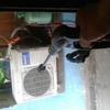 Sejasa.com