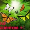 Sejasa.com