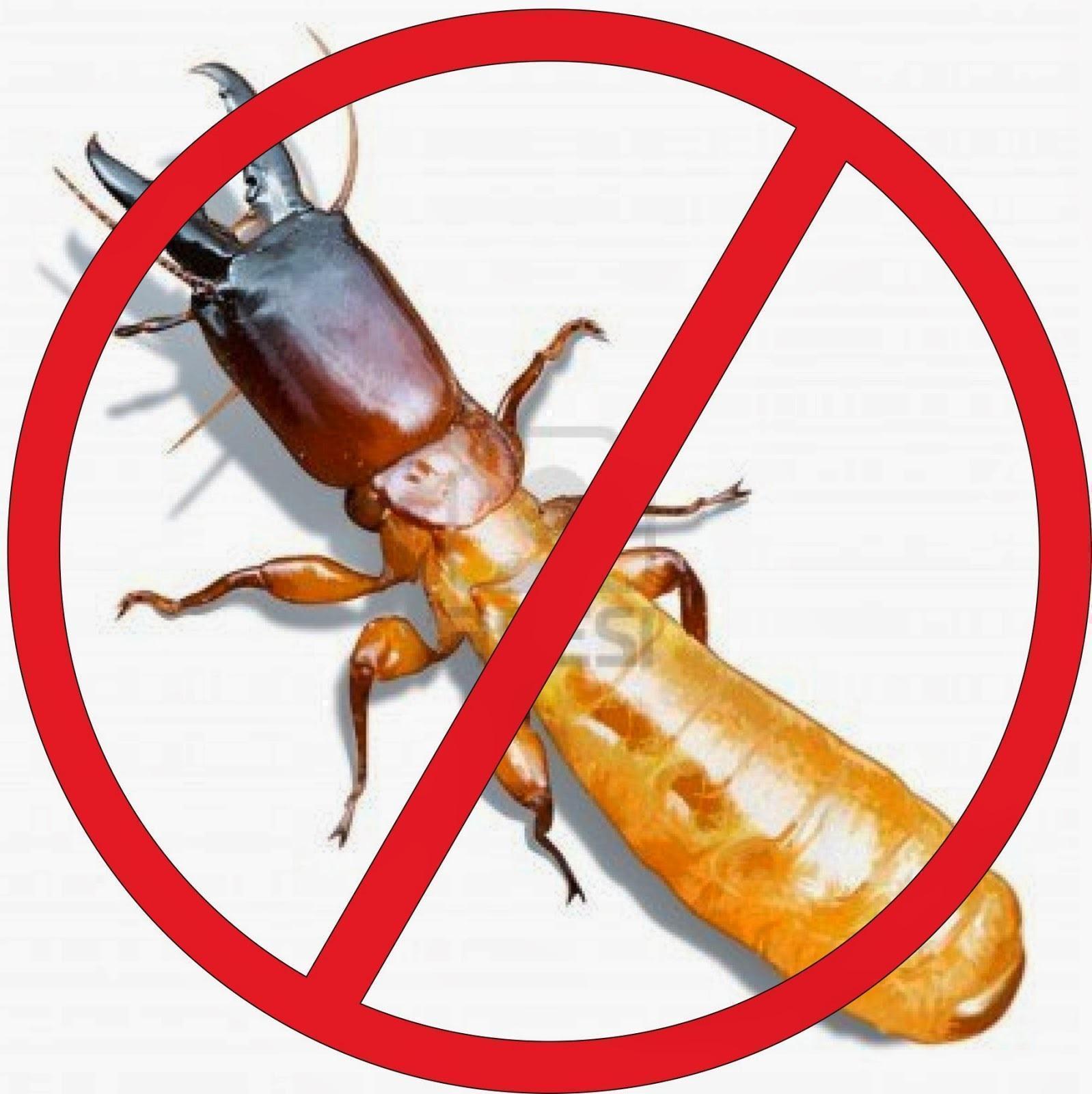 8566868 b89d0566 a76a 11e4 823d b6b22523fab8