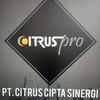 Citrus cipta sinergi