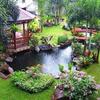 Sejasa.com
