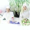Sejasa.com