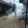 Sejasa.com