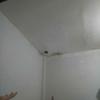 Sejasa.com