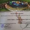 Sejasa.com