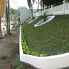 Sejasa.com