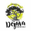 Sejasa.com