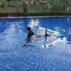 Sejasa.com