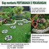 Sejasa.com