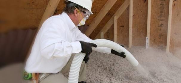 Pest control insulation ri