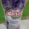 Sejasa.com