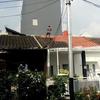 Sejasa.com