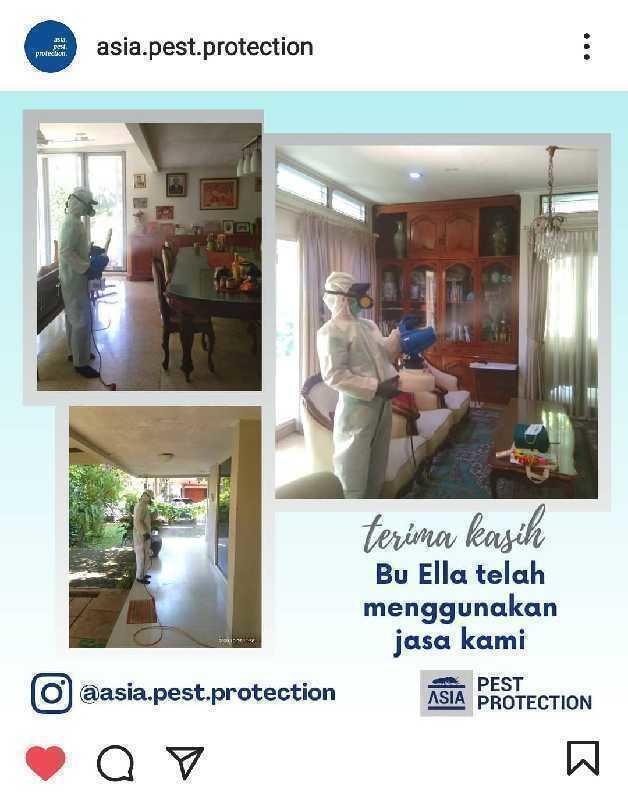 Sejasa.com