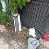 Sejasa.com
