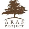 Aras Project