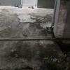 Thumb a5442b989ba54341