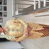 Sejasa.com