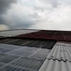 Thumb 784c3b6ae6921001