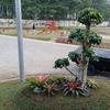 Sejasa.com