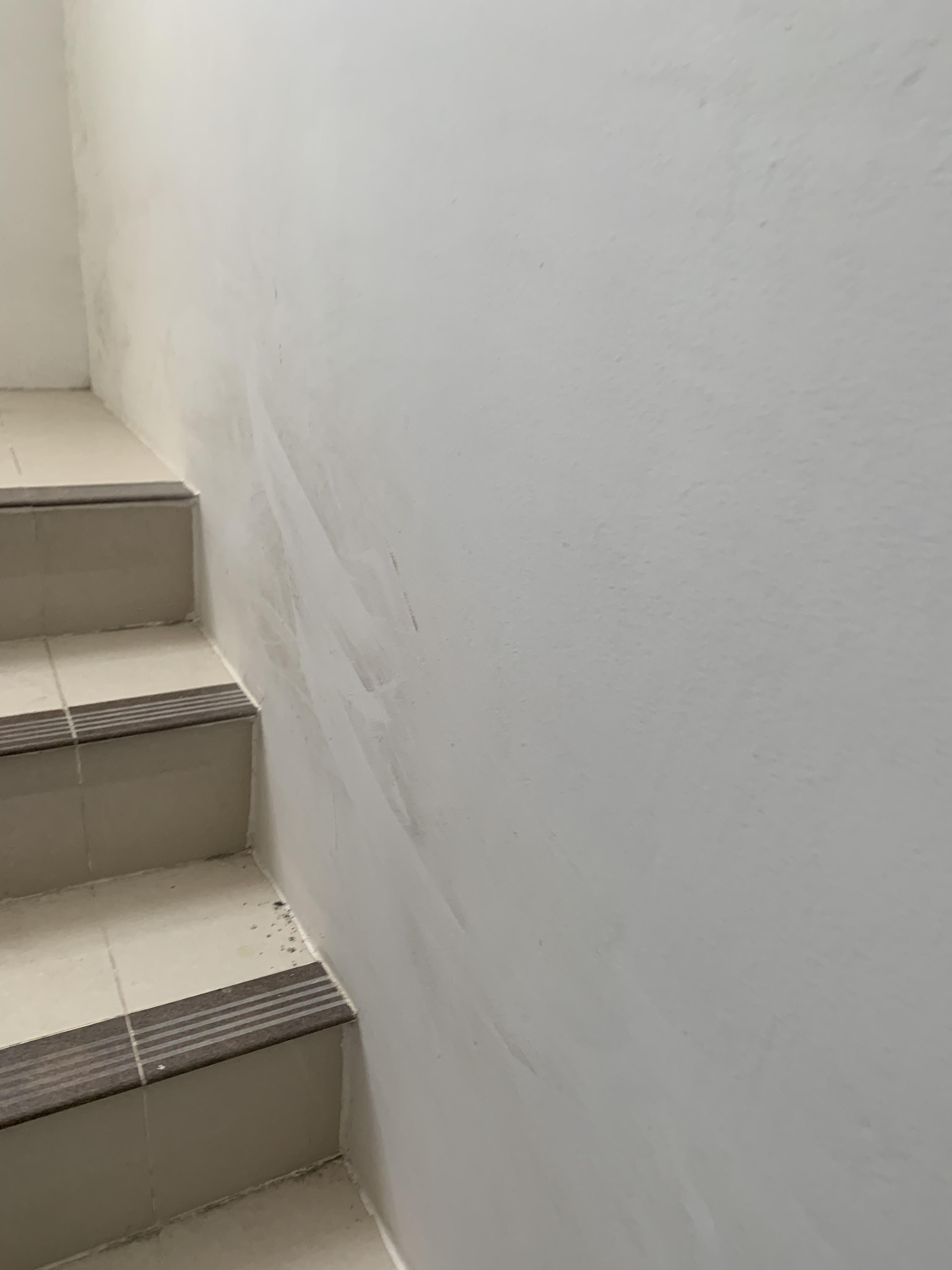 A6977247 1929 4431 89b6 aa5a6f8dc259