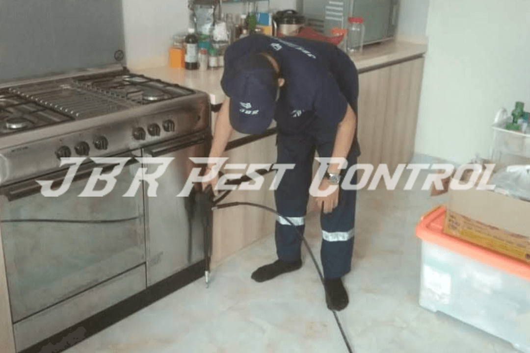 Anti Rayap Drill Injection di BSD Serpong